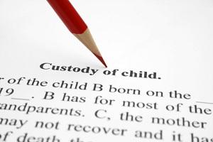 illinois child custody evaluation