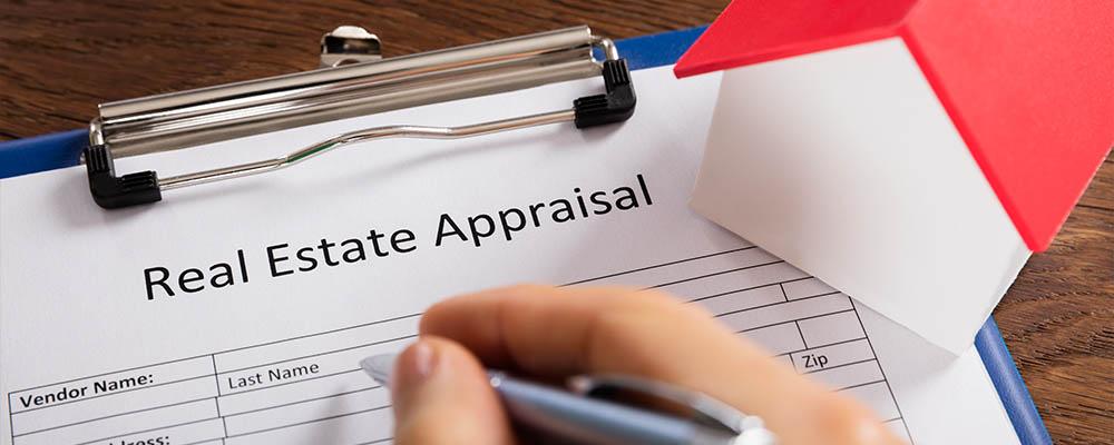 DuPage County real estate appraiser license defense lawyer